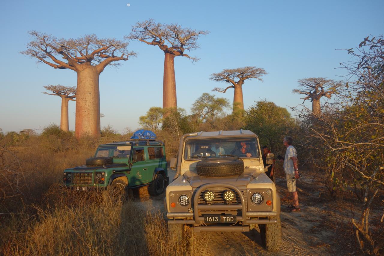 4x4 de Route Secondaire.travel au milieu des baobabs