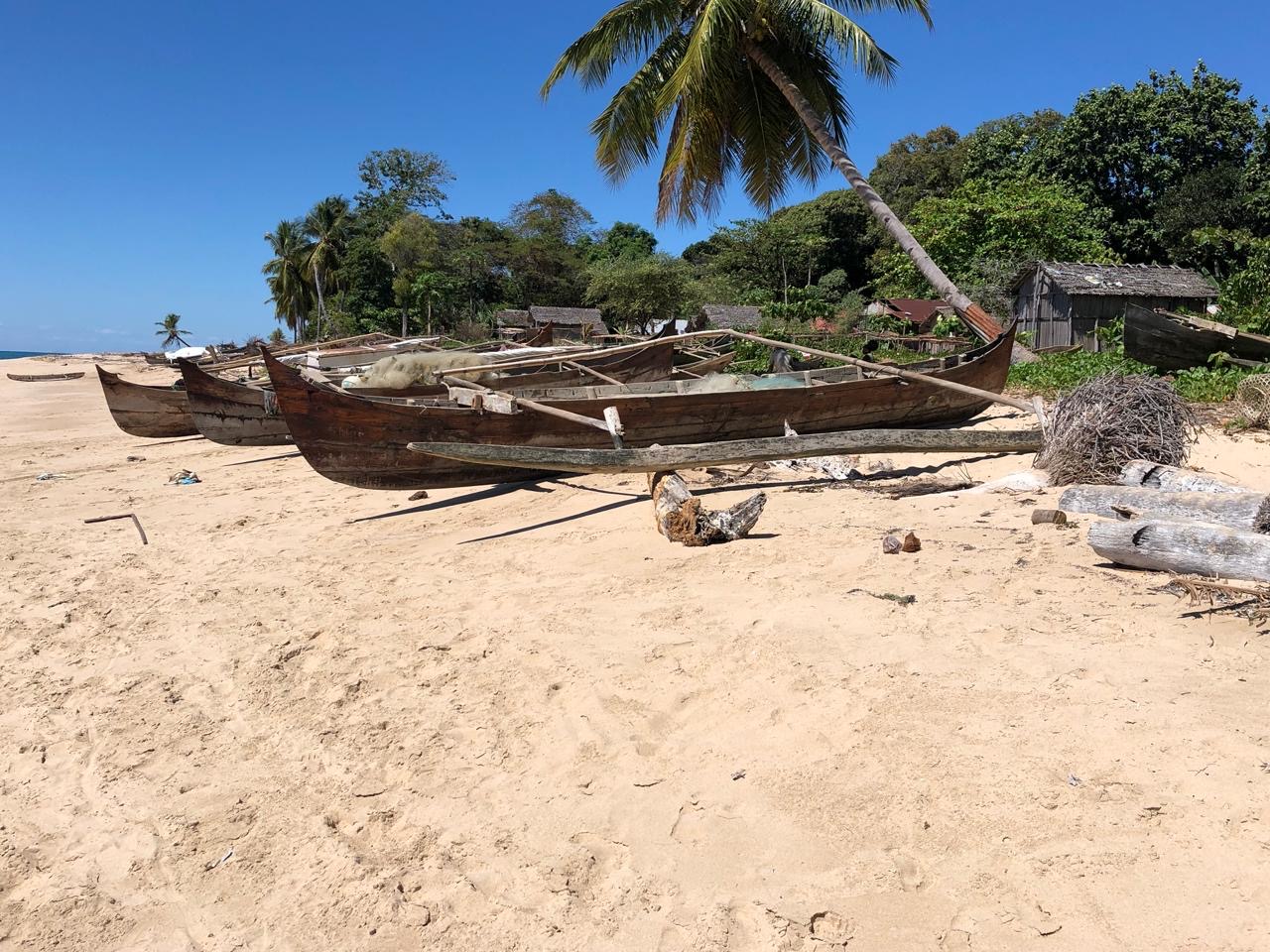 Pirogues traditionnelles en bois posées sur une plage bordée de cocotiers