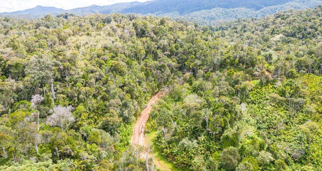 Piste traversant la nature préservée de Madagascar