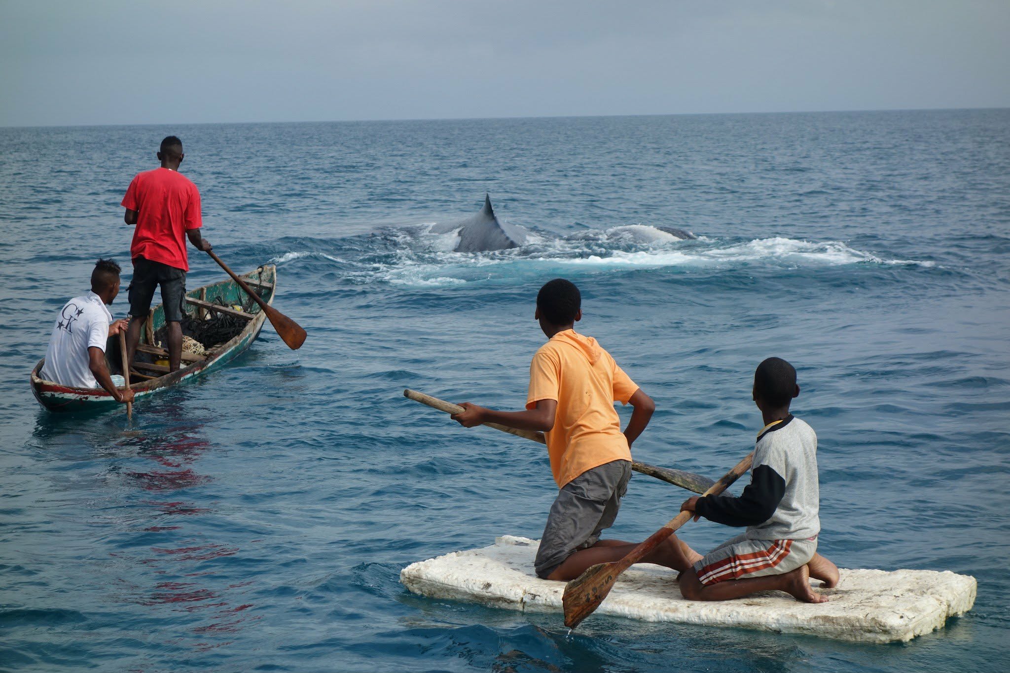 Pirogues malgaches observant une baleine dans l’océan Indien